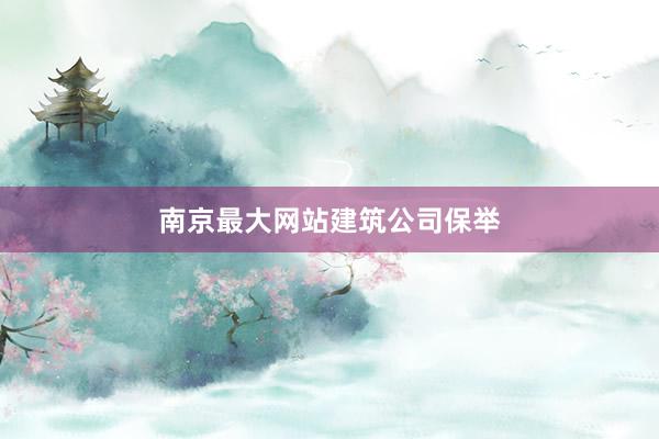 南京最大网站建筑公司保举